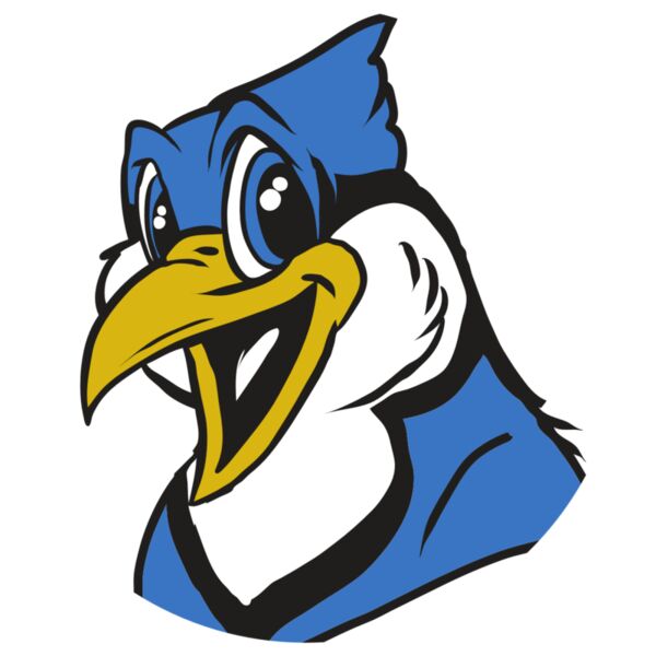 AR31 BLUEJAY 01 RQC Thumbnail