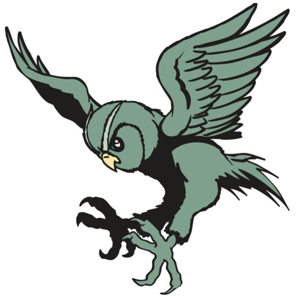 AR OWL 15 RC Thumbnail