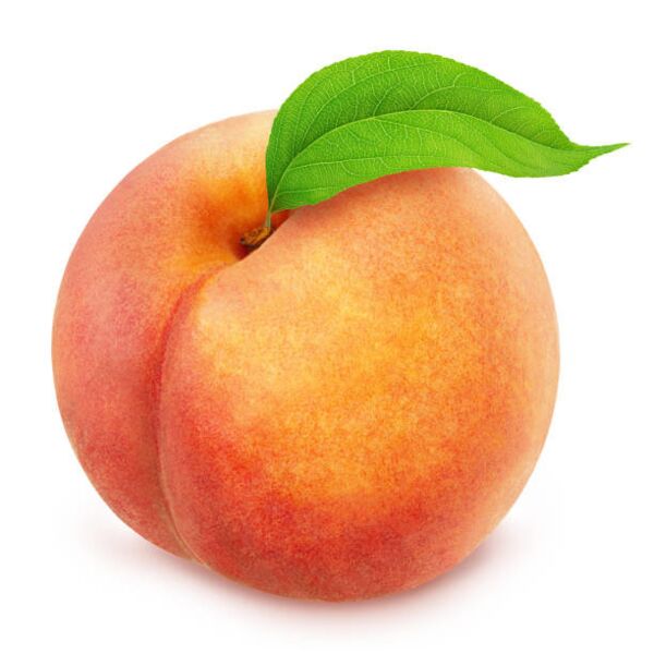 istockphoto 818448802 612x612 Thumbnail