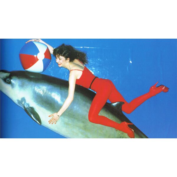 kate bush beach ball porpoise 800x450 Thumbnail
